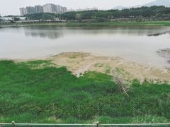-立新湖公园