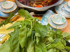 -金鼎雪山牦牛杂火锅(理县总店)