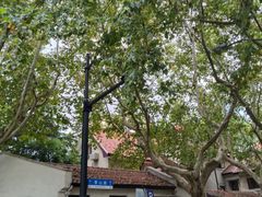 -古董花园(思南路42弄小区店)