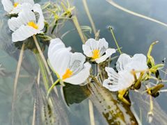 -丽江泸沽湖景区