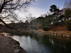 -颐和园
