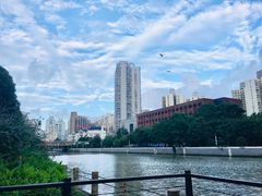 -新湖明珠城