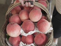 -叁山与肆客服号民宿(龙泉阳光城百工堰公园店)