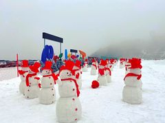 -太子岭滑雪场