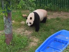 -沈阳森林动物园