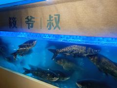 -筱爷叔·上海传统手工菜(玉树路店)