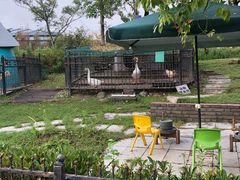 -上海滴水湖皇冠假日酒店