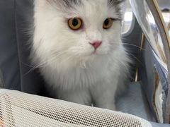 -宠颐生动物医院·小陆分院