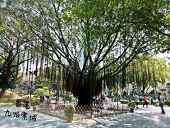 -九龙寨城公园