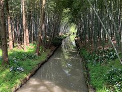 -同里国家湿地公园