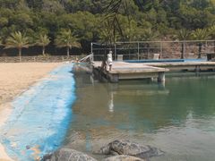 -广东惠东海龟国家级自然保护区