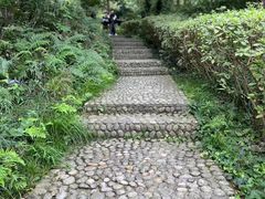 -桃花岛风景旅游区