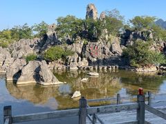 -千岛湖石林