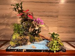 -白天鹅宾馆-玉堂春暖餐厅