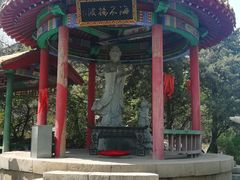 -高尔山公园