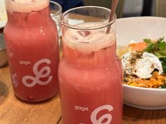-gaga(深圳南山益田假日广场店)