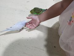 -大连圣亚海洋世界