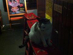 -小雅青年旅舍(平江路店)