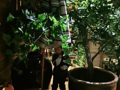 -前海沿·青岛菜(大拇指广场石老人店)