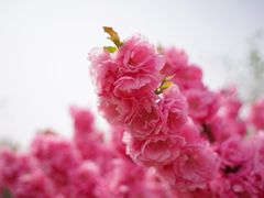 -古塔公园