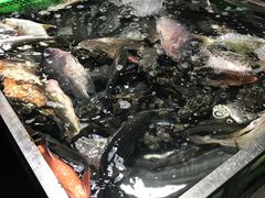 -都斛海鲜街