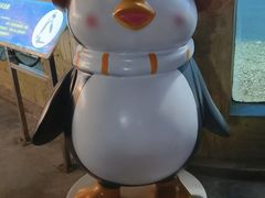 -洛阳龙门海洋馆