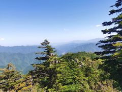 -牛背梁国家森林公园