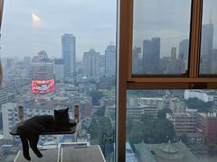-Catmate·猫肥家润(金润铂宫店)
