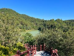 -广州白江湖森林公园