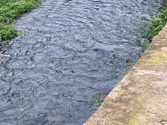 -梅岭月亮湾山体公园
