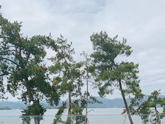 -宝荣鱼馆·临湖之宴(千岛湖店)
