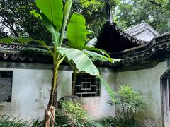 -秋霞圃
