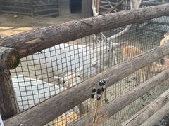 -北京世界公园