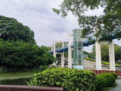 -东莞植物园