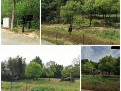 -杭州野生动物世界