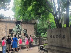 -紫金山天文台