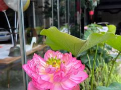-浣花锦绣(杜甫草堂店)