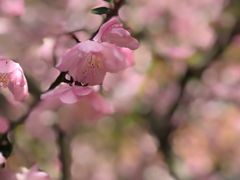 -黛瓦里巷(南京东路店)
