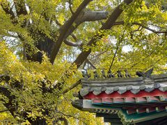 -青岛崂山太清宫
