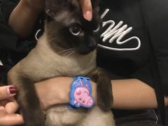-吱咖啡西式简餐
