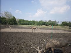 -溱湖国家湿地公园