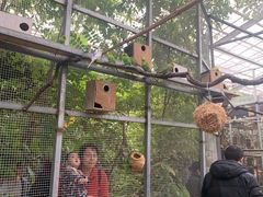 -呀路古热带植物园