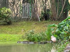 -石排湾郊野公园