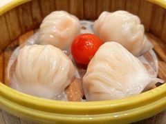-满乐潮州(深业上城店)