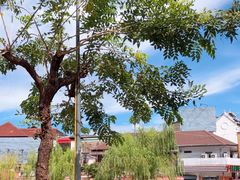 -瓦洛洛传统市场
