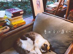 -咖法森林·咖啡  酒吧(天河店)