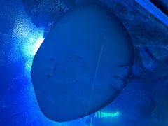 -珠海长隆海洋王国