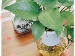 -轩记海鲜餐厅·四十五年老字号·经典粤菜(西区彩虹店)