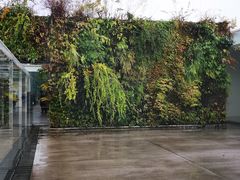 -金泽21世纪美术馆