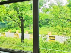 -秦皇岛野生动物园